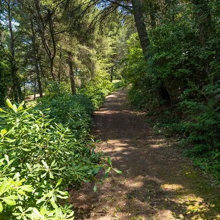 Casale Nel Bosco Holiday home