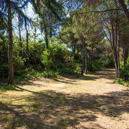 Holiday home Casale Nel Bosco Senigallia